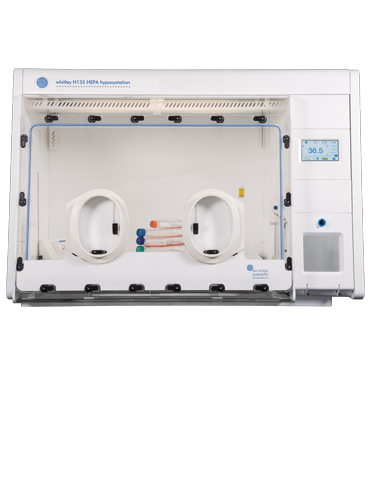 Whitley H135 HEPA Hypoxystation